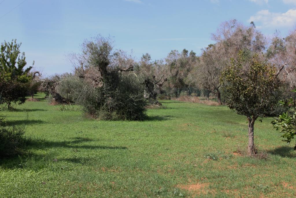 Villa Nanni Gallipoli Extérieur photo